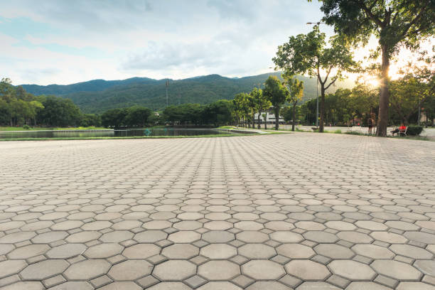 Best Concrete Paver Driveway  in Walcott, IA