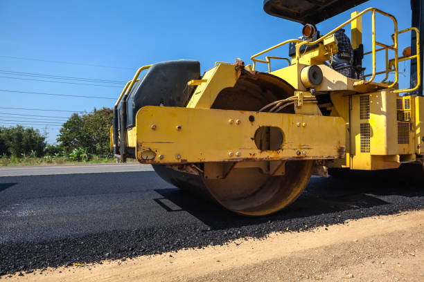 Best Driveway Paver Repair  in Walcott, IA
